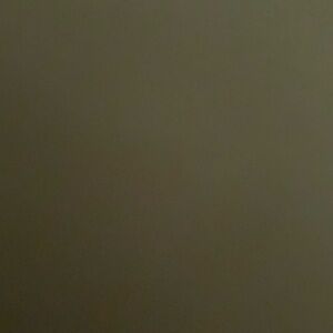 Meet your Posher, Aamina